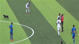 بالفيديو.. «كلب» يحرم ليبيا من تسجيل هدف أمام الرأس الأخضر