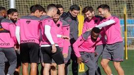 " المجنون " يُجاور النمر فهد المولد في ليفانتي